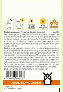 Digitalis, Vingerhoedskruid gemengd Oranjeband - afbeelding 2