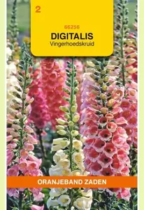 Digitalis, Vingerhoedskruid gemengd Oranjeband - afbeelding 1