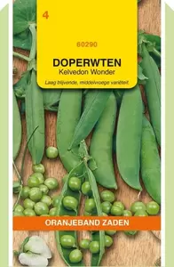 Doperwten Kelvedon Wonder, 100g Oranjeband - afbeelding 1