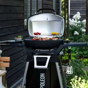 Elektrische barbecues