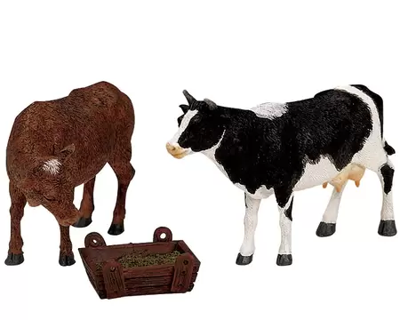 Feeding Cow & Bull Lemax