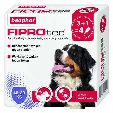 Fiprotec hond 40-60kg 4 pipetten