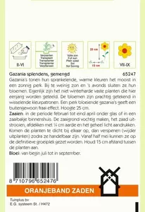Gazania, Middaggoud gemengd Oranjeband - afbeelding 2
