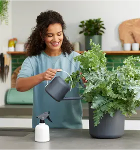 Gieters & drukspuiten