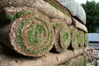 Graszoden