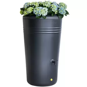Regenton green basics living black