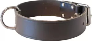 Halsband bruineed enkel 40mm/60cm donkerbruin