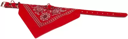 Halsband met zakdoek 40 cm