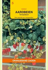 Hangaardbeien Temptation Oranjeband - afbeelding 1