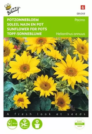 Helianthus, Zonnebloem Sungold dubbelbloemig laag Buzzy Seeds - afbeelding 1