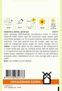 Helianthus, miniatuur Zonnebloem gemengd Oranjeband - afbeelding 2