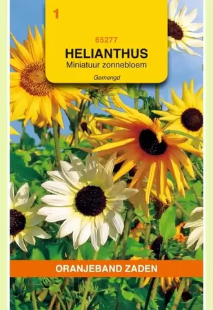 Helianthus, miniatuur Zonnebloem gemengd Oranjeband - afbeelding 1