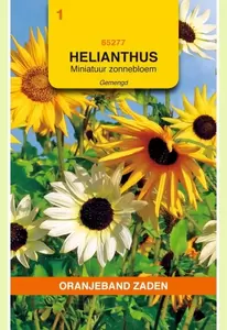 Helianthus, miniatuur Zonnebloem gemengd Oranjeband - afbeelding 1