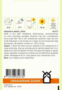 Helianthus, miniatuur Zonnebloem Stella Oranjeband - afbeelding 2