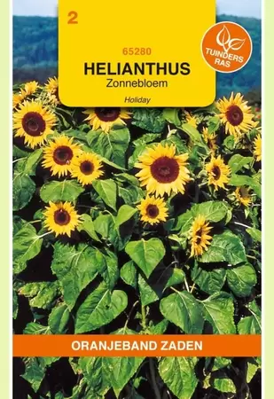 Helianthus, Zonnebloem Holiday Oranjeband - afbeelding 1