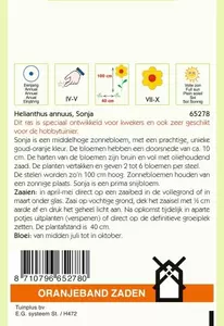 Helianthus, Zonnebloem Sonja Oranjeband - afbeelding 2
