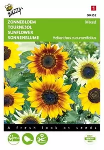 Helianthus, Zonnebloem Sunrich Orange F1 Buzzy Seeds - afbeelding 1