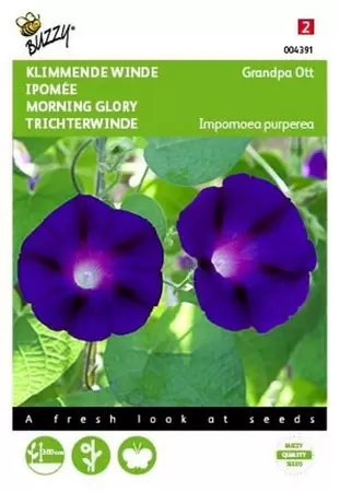 Ipomoea, Klimmende winde gemengd Buzzy Seeds - afbeelding 1