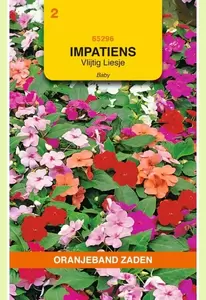 Impatiens, Vlijtig Liesje Nana Baby gemengd Oranjeband - afbeelding 1