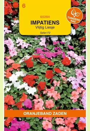 Impatiens, Vlijtig Liesje Safari F2 gemengd Oranjeband - afbeelding 1