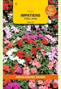 Impatiens, Vlijtig Liesje Safari F2 gemengd Oranjeband - afbeelding 1