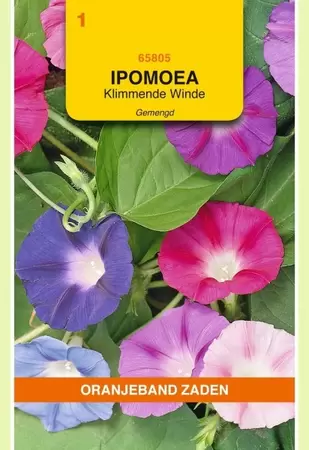 Ipomoea, Klimmende Winde, gemengd Oranjeband - afbeelding 1