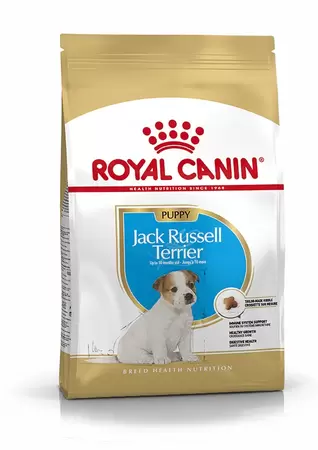 Jack Russell Terrier Puppy 1,5kg