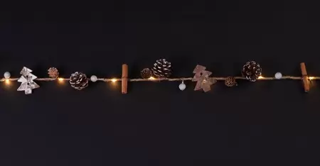 Decoratieverlichting Kaneelstok/dennenappel 10 classic warme Led lampjes 1 meter op batterijen