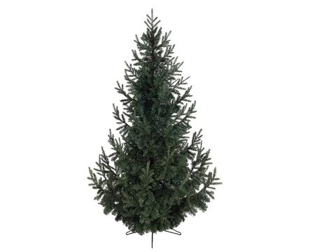 Kerstboom Serbian Spruce 180