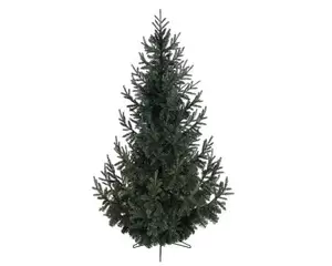 Kerstboom Serbian Spruce 180