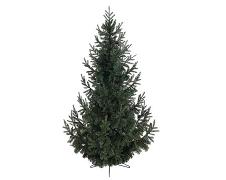 Kerstboom Serbian Spruce 210