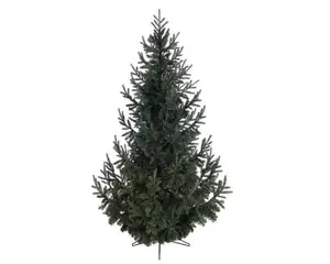Kerstboom Serbian Spruce 210