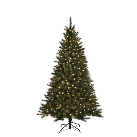 Kunstkerstboom Toronto verlicht 215cm groen 240 Led Black Box