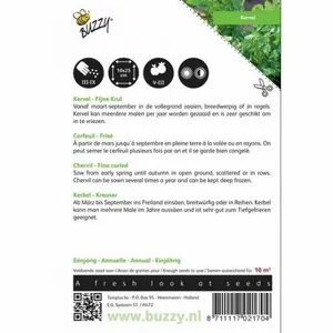 Kervel Fijne Krul Buzzy Seeds - afbeelding 2