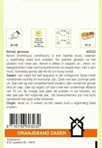 Kervel Gewone Oranjeband - afbeelding 2