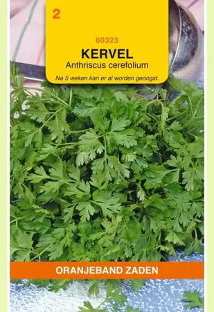 Kervel Gewone Oranjeband - afbeelding 1