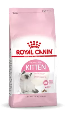 Kitten  4 kg