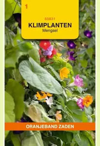 Klimplanten mengsel Oranjeband - afbeelding 1