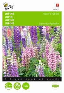 Lathyrus, Sier- of Reukerwt meerjarig Buzzy Seeds - afbeelding 1