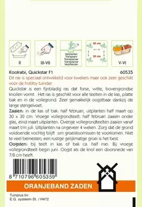 Koolrabi Quickstar F1 Oranjeband - afbeelding 2