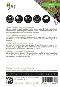 Kropsla Gaardenier, zeer laatschietend Buzzy Seeds - afbeelding 2