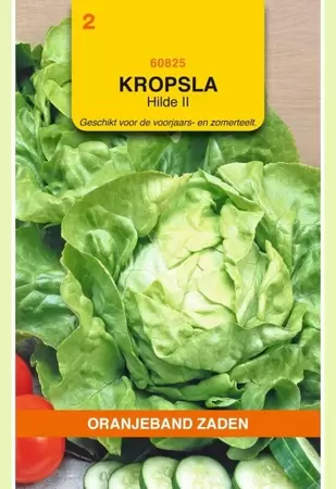 Kropsla Hilde II Oranjeband - afbeelding 1