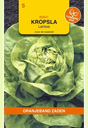 Kropsla Larissa - Kassla- Oranjeband - afbeelding 1