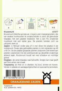 Kruizemunt Oranjeband - afbeelding 2