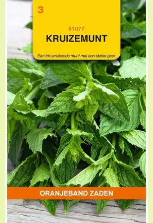 Kruizemunt Oranjeband - afbeelding 1