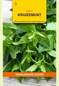 Kruizemunt Oranjeband - afbeelding 1