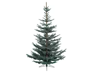 Kunstkerstboom Nobilis fir blue 180 cm Blauw