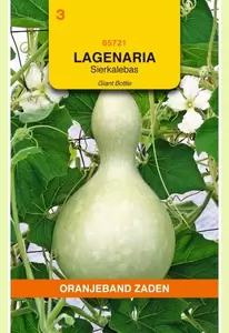 Lagenaria, Sierkalebas Giant Bottle Oranjeband - afbeelding 1