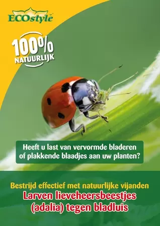 Larven Lieveheersbeestje tegen Bladluis 10m² Ecostyle
