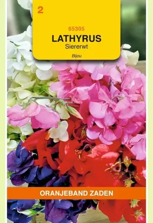 Lathyrus, Reuk- of siererwt Bijou gemengd Oranjeband - afbeelding 1